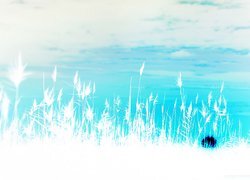 Negatyw