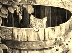 Szary + Sepia