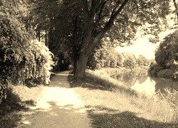 Szary + Sepia