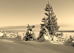 Szary + Sepia