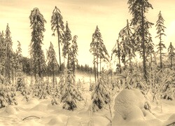 Sepia