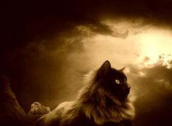 Sepia