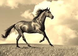 Sepia