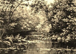 Szary + Sepia
