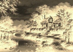 Sepia + Negatyw