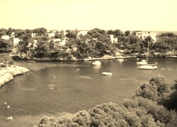 Szary + Sepia