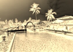 Sepia + Negatyw