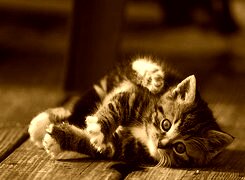 Sepia