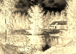 Sepia + Negatyw