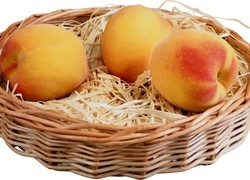 Oryginalny obrazek