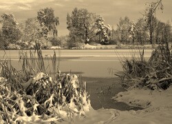 Szary + Sepia