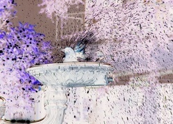 Negatyw