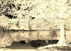 Sepia + Negatyw