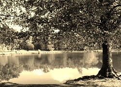 Szary + Sepia