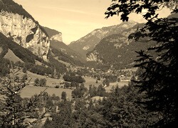 Szary + Sepia