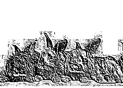 Skamielina
