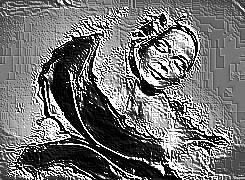 Skamielina