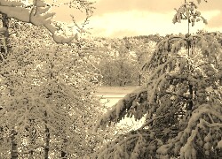Szary + Sepia