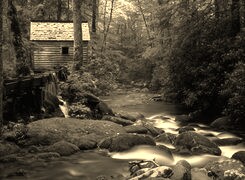 Sepia