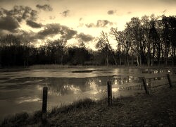 Szary + Sepia