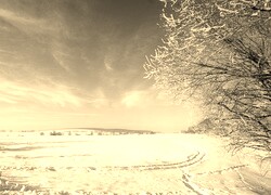Szary + Sepia
