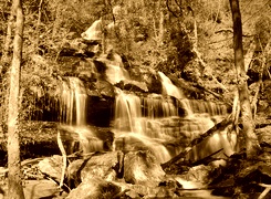 Sepia