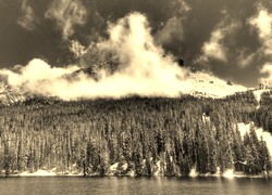 Szary + Sepia