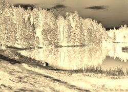 Sepia + Negatyw