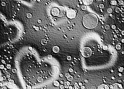 Skamielina