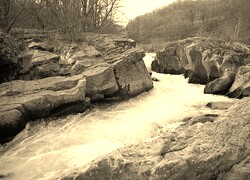 Szary + Sepia