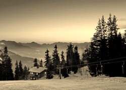 Szary + Sepia