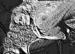 Skamielina