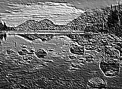 Skamielina
