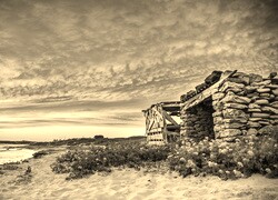 Szary + Sepia