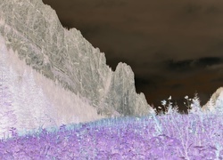 Negatyw