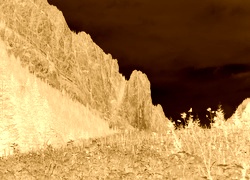 Sepia + Negatyw