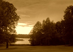 Sepia