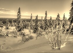 Sepia