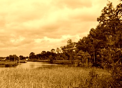 Sepia