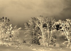 Sepia + Negatyw