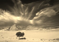 Szary + Sepia