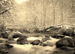 Sepia