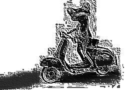 Skamielina