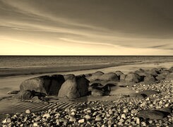 Szary + Sepia