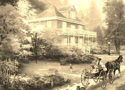 Szary + Sepia