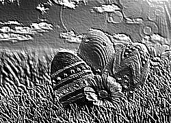 Skamielina