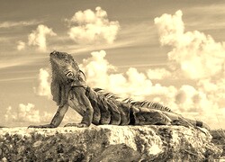 Sepia