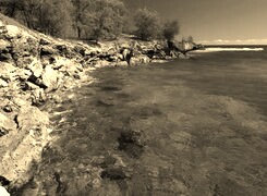 Szary + Sepia