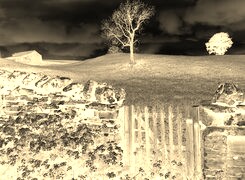 Sepia + Negatyw