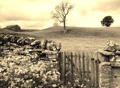 Szary + Sepia